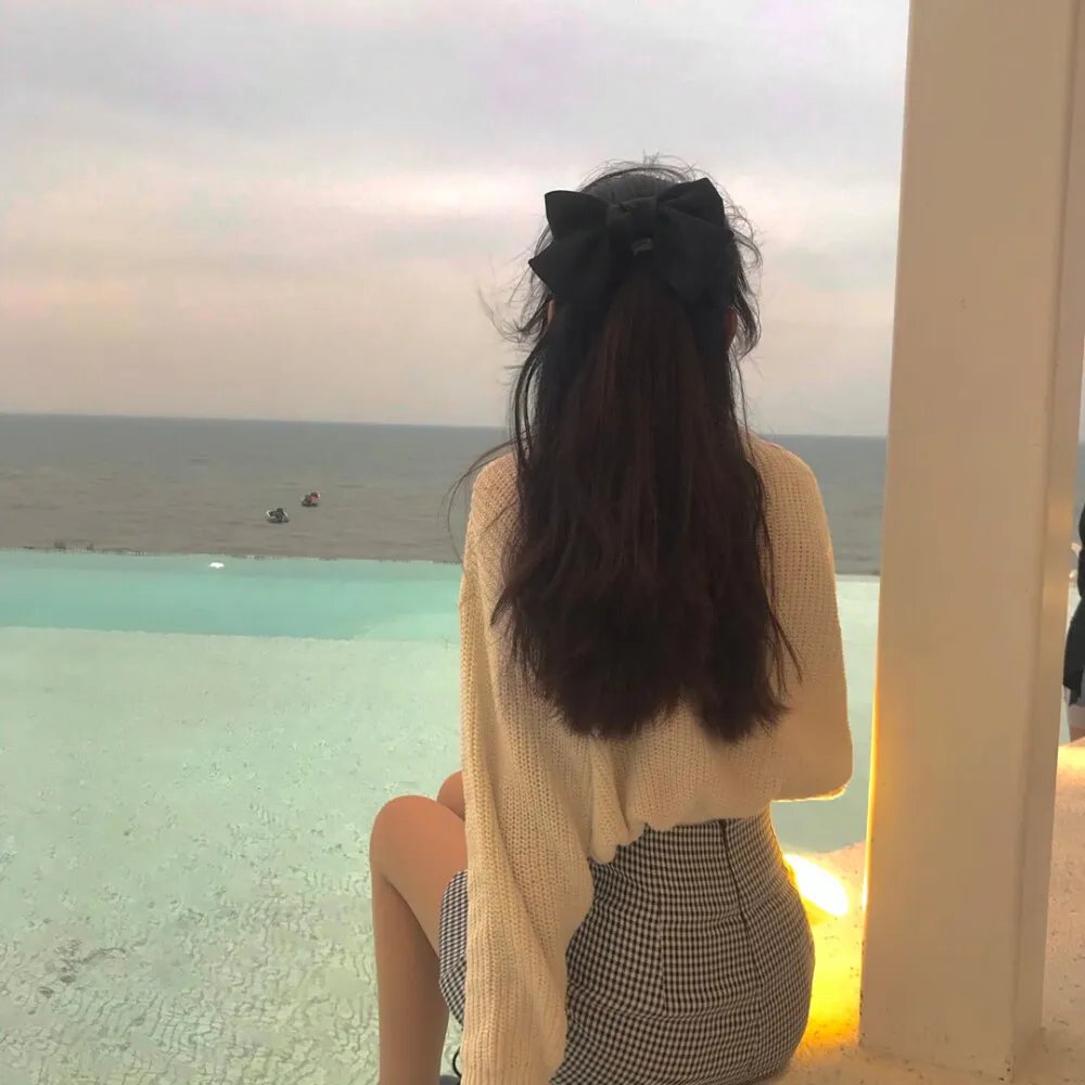 内战圣伯纳犬 海报